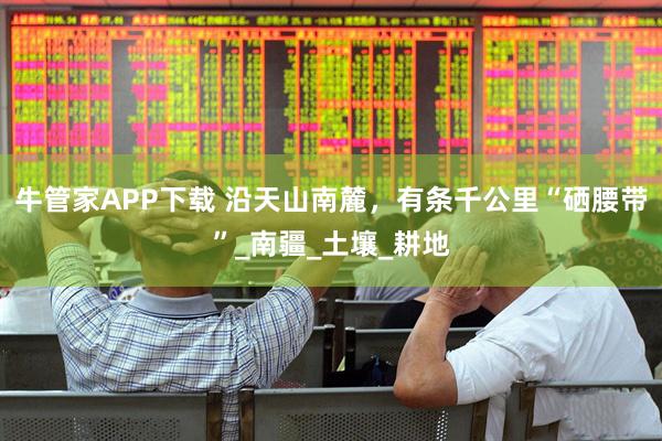 牛管家APP下载 沿天山南麓，有条千公里“硒腰带”_南疆_土壤_耕地