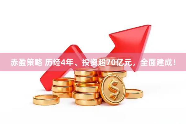 赤盈策略 历经4年、投资超70亿元，全面建成！