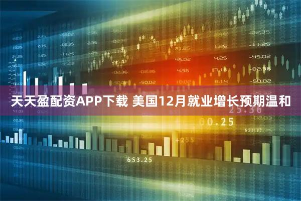 天天盈配资APP下载 美国12月就业增长预期温和