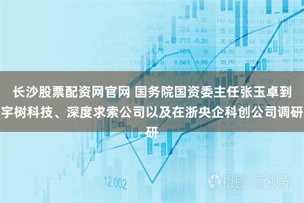 长沙股票配资网官网 国务院国资委主任张玉卓到宇树科技、深度求索公司以及在浙央企科创公司调研