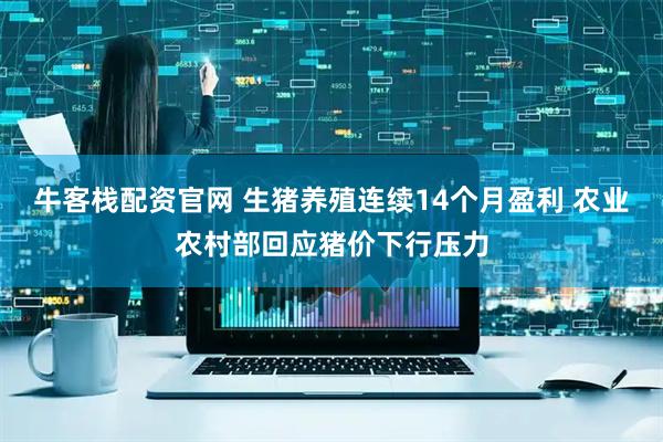 牛客栈配资官网 生猪养殖连续14个月盈利 农业农村部回应猪价下行压力