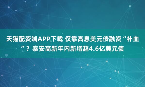 天猫配资端APP下载 仅靠高息美元债融资“补血”？泰安高新年内新增超4.6亿美元债