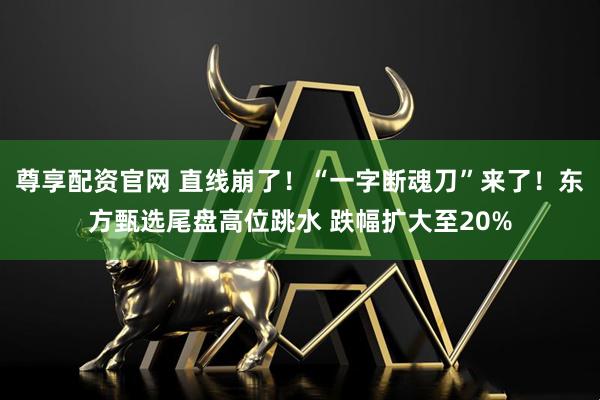 尊享配资官网 直线崩了！“一字断魂刀”来了！东方甄选尾盘高位跳水 跌幅扩大至20%